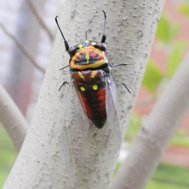 Material de Argila da Arte Pces Lote Popular Inseto Artificial Modelo Artesanato Artesanal Figura Sólida Cicada Mm-016 50 - um 8 Brinquedos e hobbies