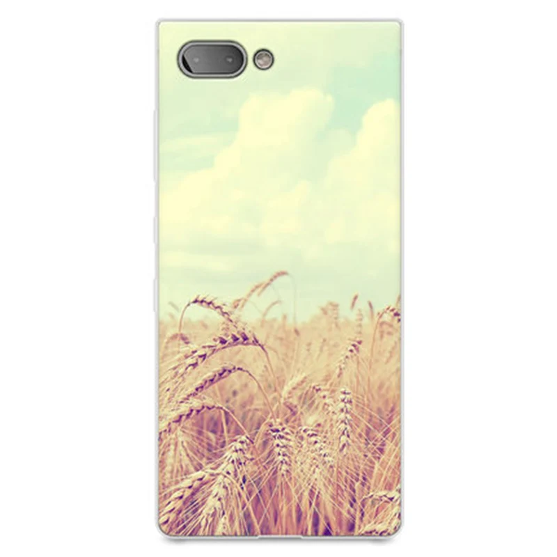 TB2_C4xvFooBKNjSZPhXXc2CXXa_!!2259029038.jpg_.webp_430x430q90