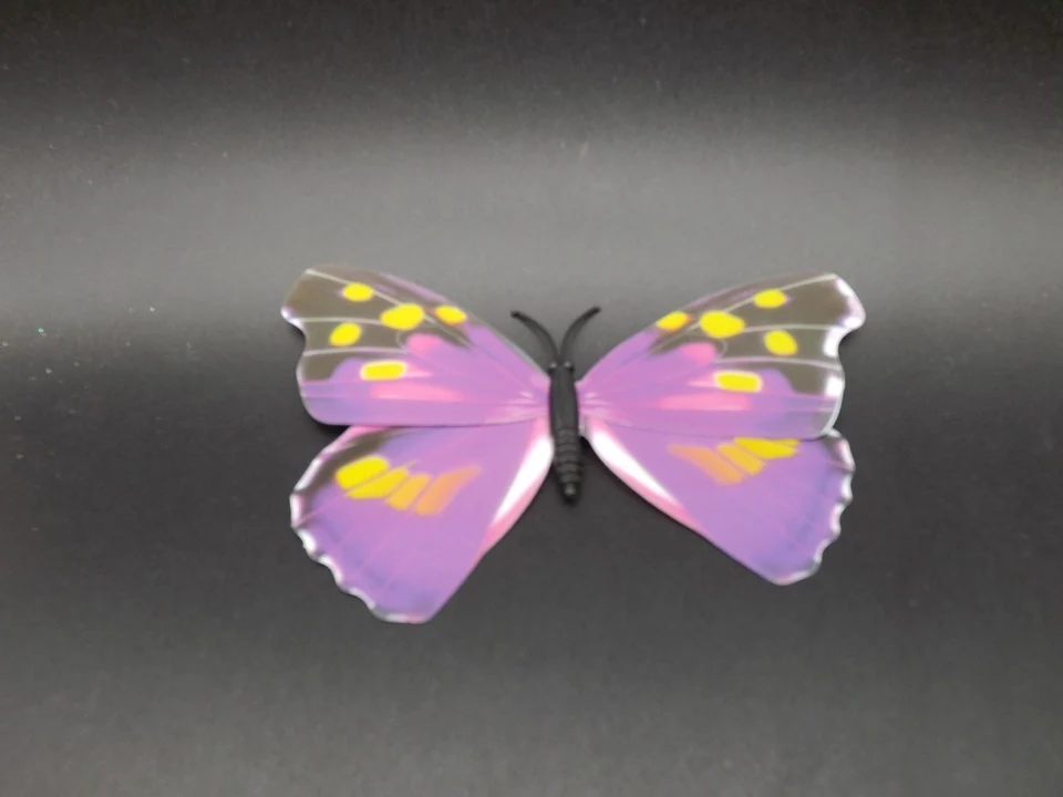I241-Butterfly (5)