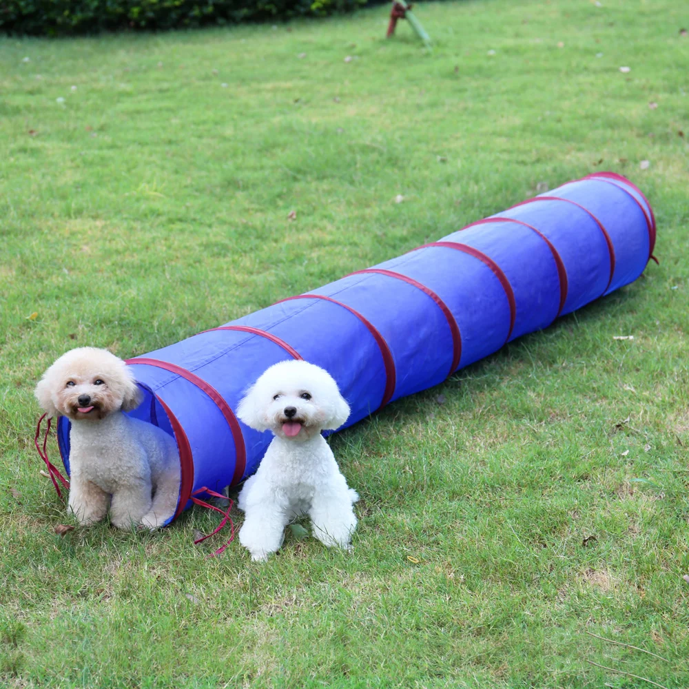 Foldable Pet Tunnel Funny Kitten Cat Puppy Toys Indoors Outdoors Dog Cat Rabbit Playing Training Tunnel Cat Play Tent Nest House Foldable Pet Tunnel Funny Kitten Cat Puppy Toys Indoors Outdoors Dog Cat Rabbit Playing Training Tunnel Cat Play Tent Nest House