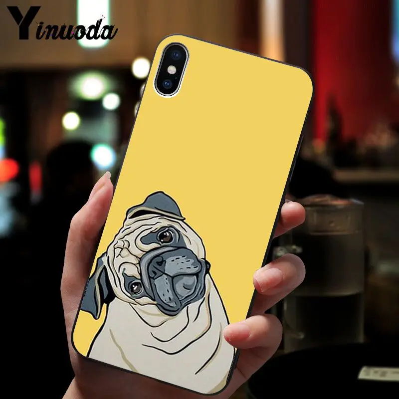 Cute pug dog