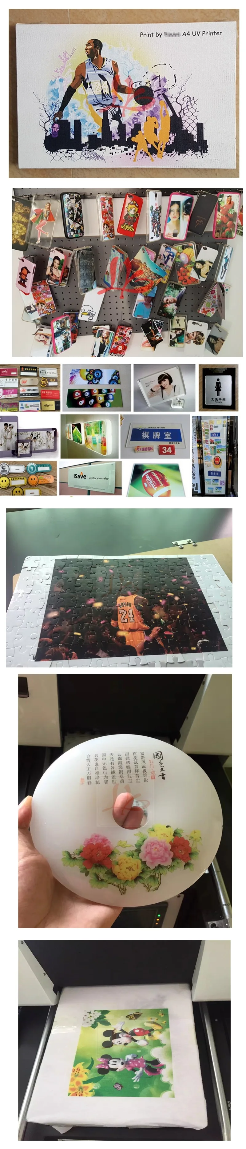 LY A31 UV printer (5)