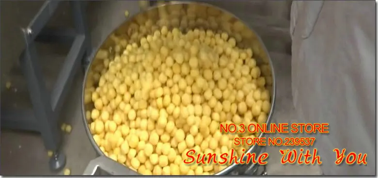 corn puffing ball extruder (6).jpg