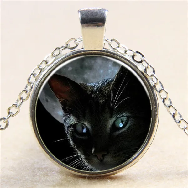 meilleur collier lune chat meilleur collier lune chat