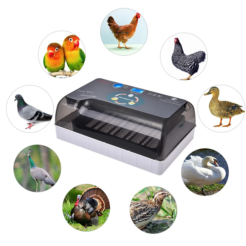 12 Eggs Automatic Digital Eggs Incubator Hatcher Home Mini Hatching Incubator Chicken Duck Egg Incubator Hatching Machine 12 Eggs Automatic Digital Eggs Incubator Hatcher Home Mini Hatching Incubator Chicken Duck Egg Incubator Hatching Machine