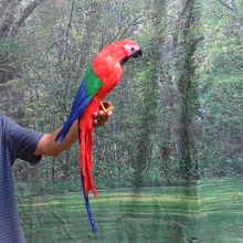 Искусственный попугай птица пена и цветные перья попугай большой 65 см ручной работы, косплей, игрушка для украшения сада подарок a1907
