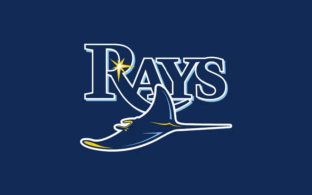 

Yehoy hanging 90*150cm baseball Tampa Bay Rays Flag For Decoration