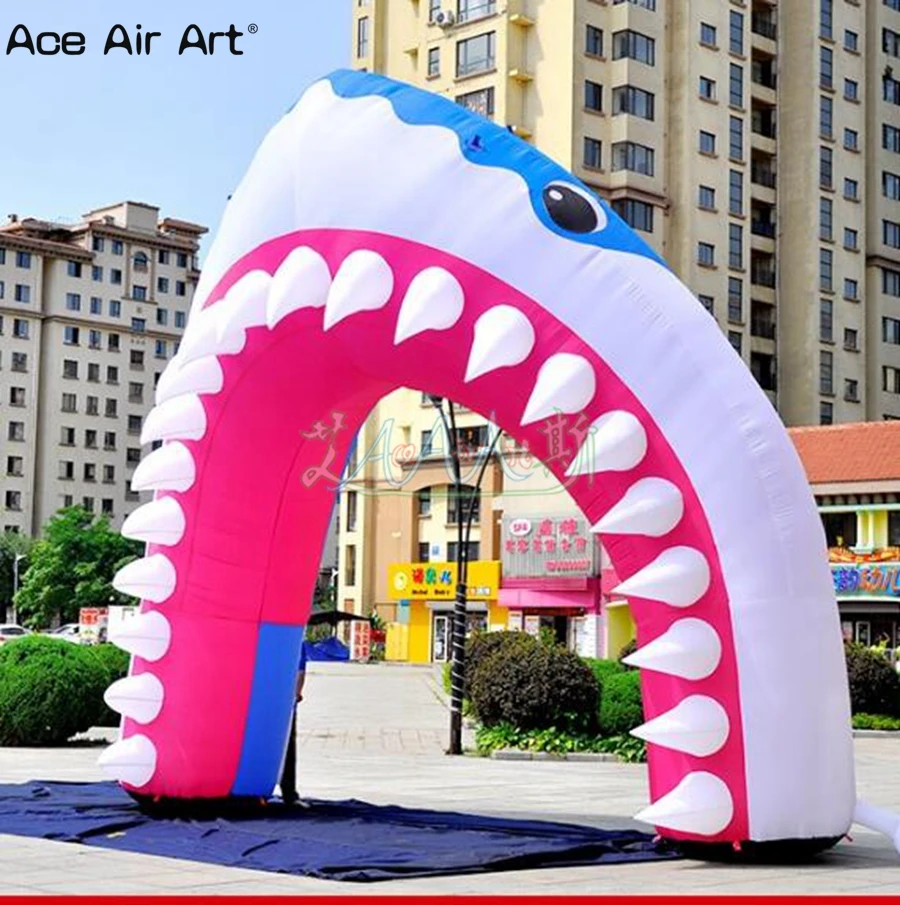 shark arch2_