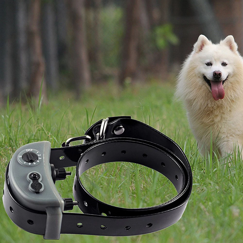 dog training collar electronic anti bark device stop barking agility