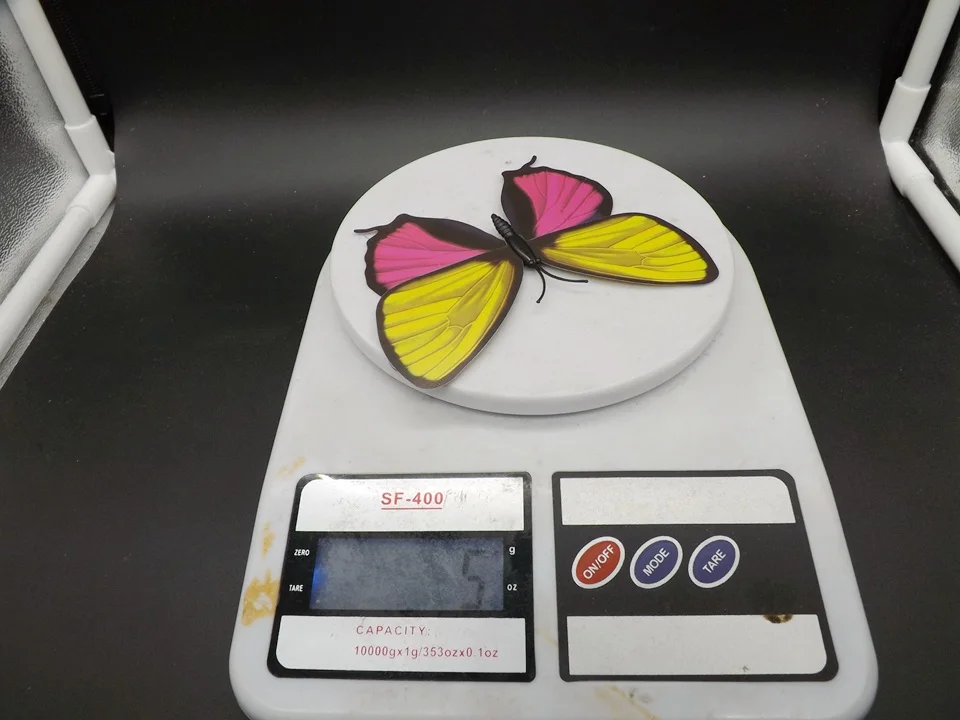 I236-Butterfly (14)
