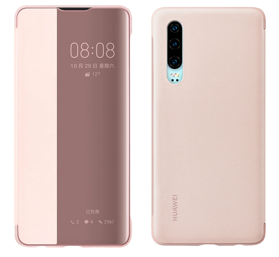 P30 (1)