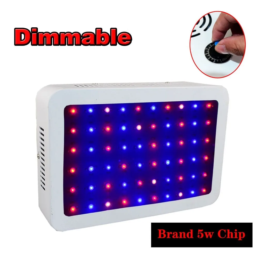 Spectrum king led coupon code