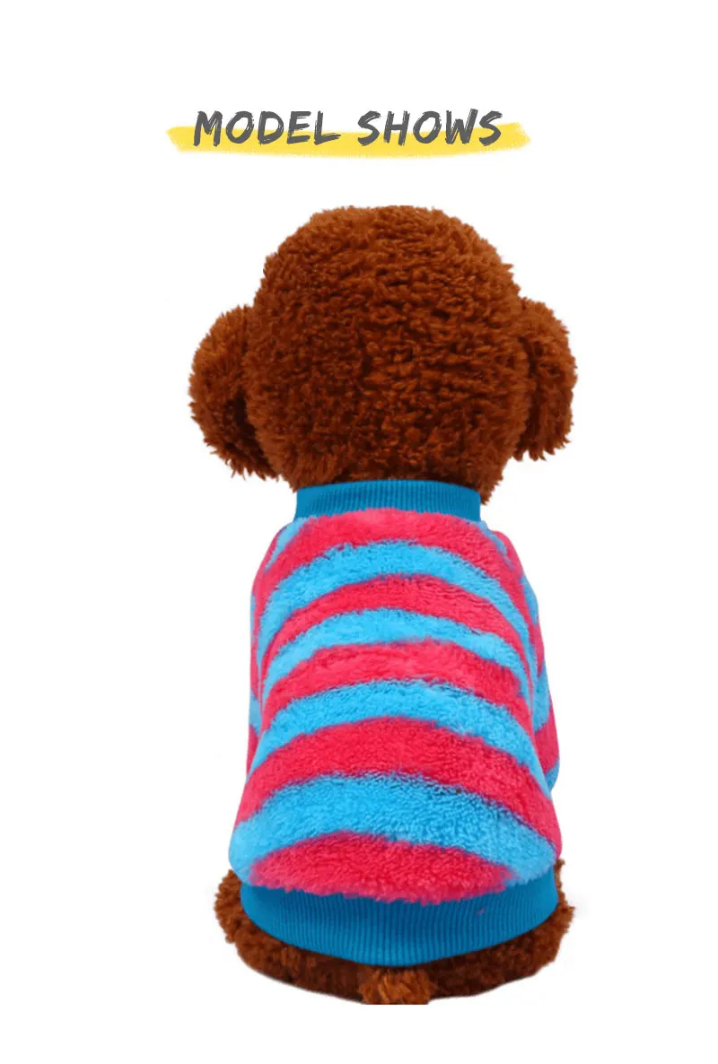 funny dog clothes