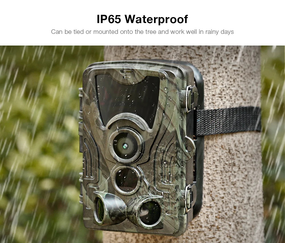 20190305185631_64881.jpg