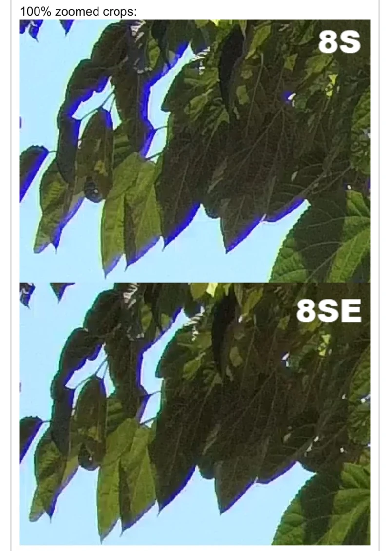 8SE