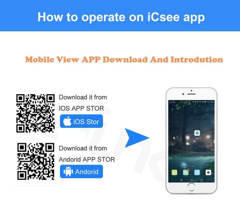 icsee-1