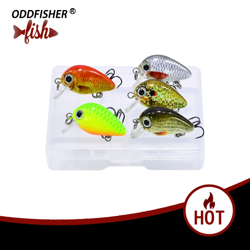 5PCS/Box Crankbait 2.5cm Fly Fishing Lures Topwater Wobblers Quality Mini Swimbait Hard lure Artificial Baits with Plastic Box