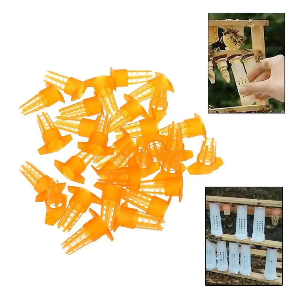 500 шт. королевская Защитная крышка для Ловца королевские клетки коробка для клеток разведение пчел инструменты пчелы пластик антиукус Защитная клетка коробка чашки поставки