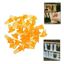 500 шт. королевская Защитная крышка для Ловца королевские клетки коробка для клеток разведение пчел инструменты пчелы пластик антиукус Защитная клетка коробка чашки поставки