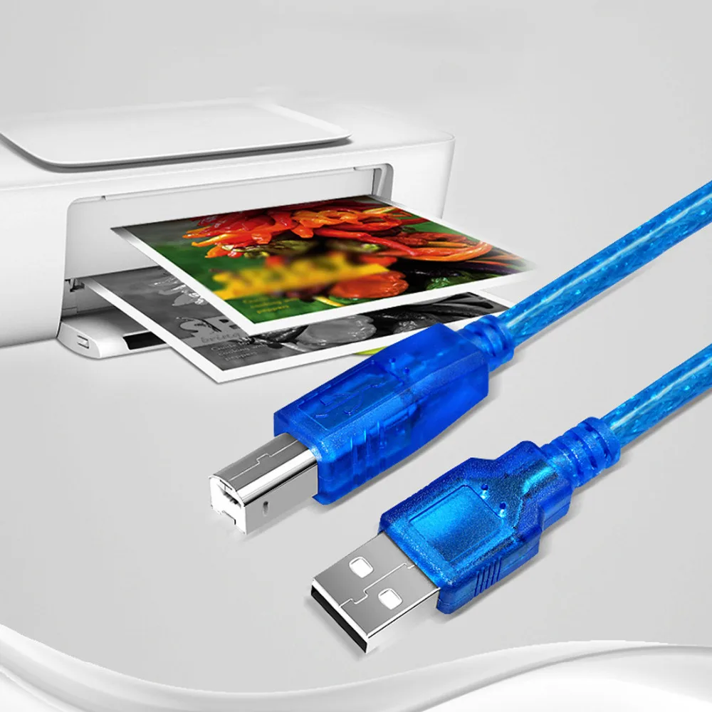 

Centechia High Speed 30cm USB 2.0 Printer Cable Type A Male to Type B Male Dual Shielding Transparent Blue