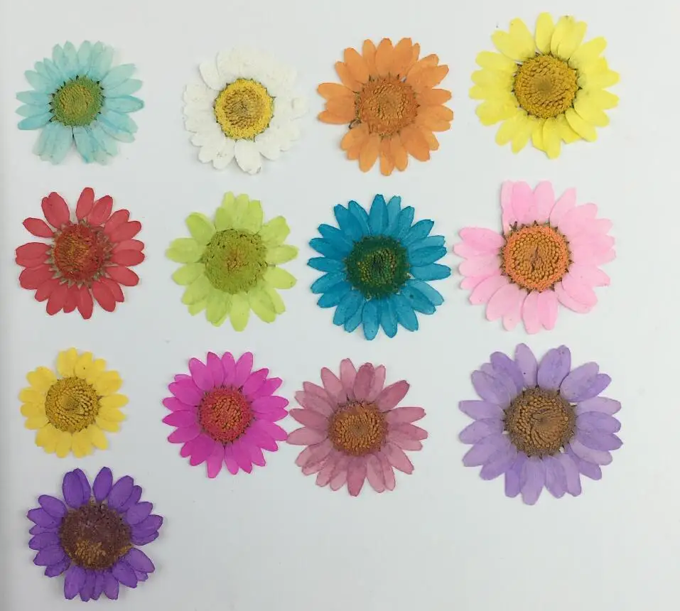 100pcs Pressed Dried Daisy Flower Filler For Epoxy Resin Pendant