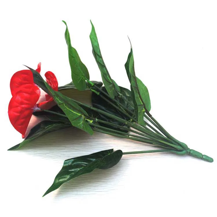 Anthurium, green potted anthurium flowers indoor green plants balcony office desktop artificial flowers bonsai Anthurium, green potted anthurium flowers indoor green plants balcony office desktop artificial flowers bonsai