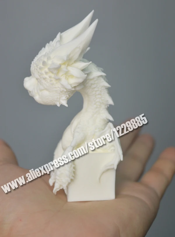 Prickly dragon 2