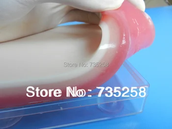 Advanced Simulation Model of the Skin,Skin Suture Practice Model,Skin Model,Suture Practice Pad advanced stages of bedsores pressure sore simulator decubitus wound care model nursing model