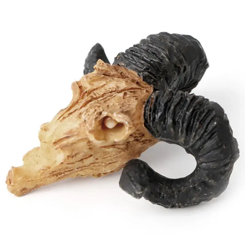 

Practical Sheepshead Resin Skull Ornament Aquarium Fish Tank Decoration Accessories They're are Absolutely Safe for Fish