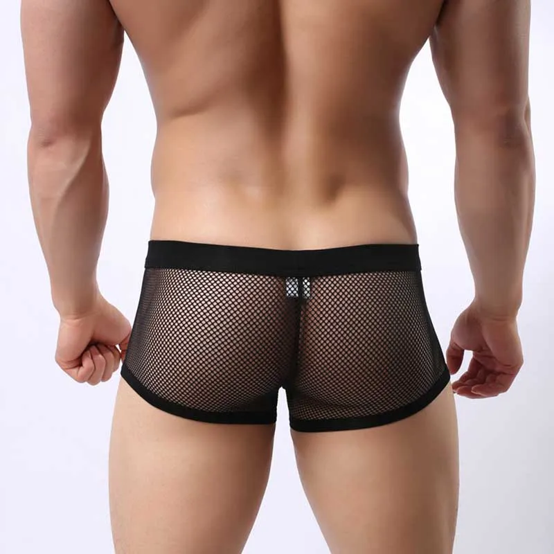 boxer semitransparente