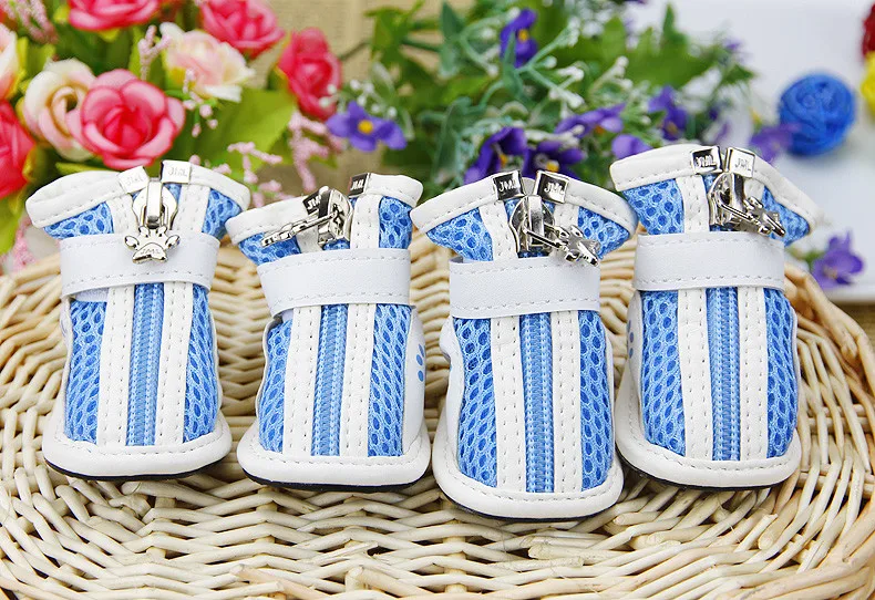 running shoes for pet (2)