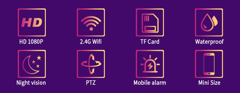 PTz_02