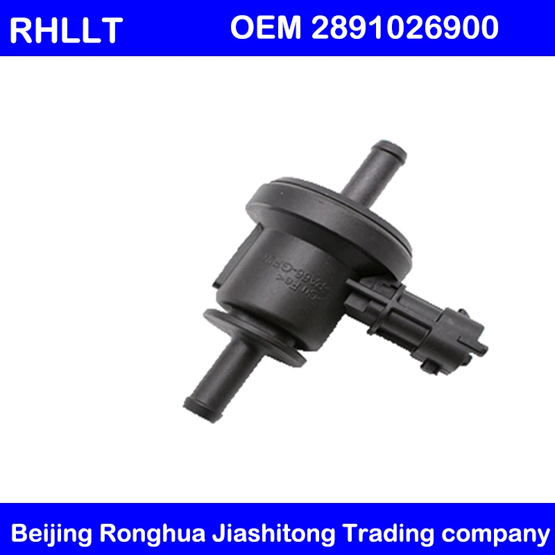 Car & Truck Parts Vapor Canister Purge Control Valve for Hyundai Accent