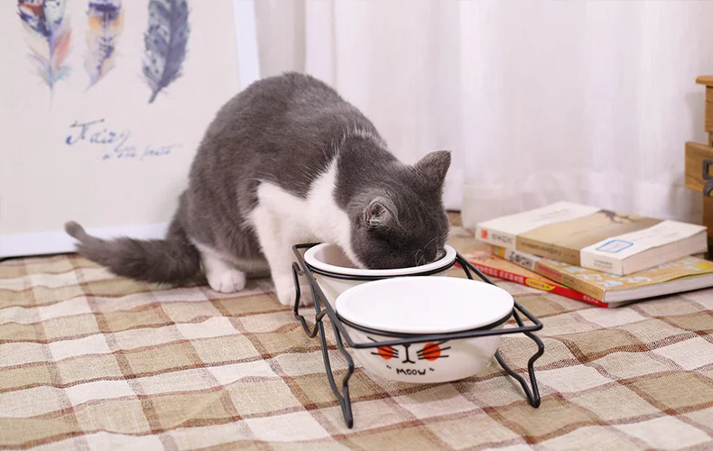HOOPET собака кот Прекрасный Еда воды Керамика чаша с двумя чашами с Сталь рамка