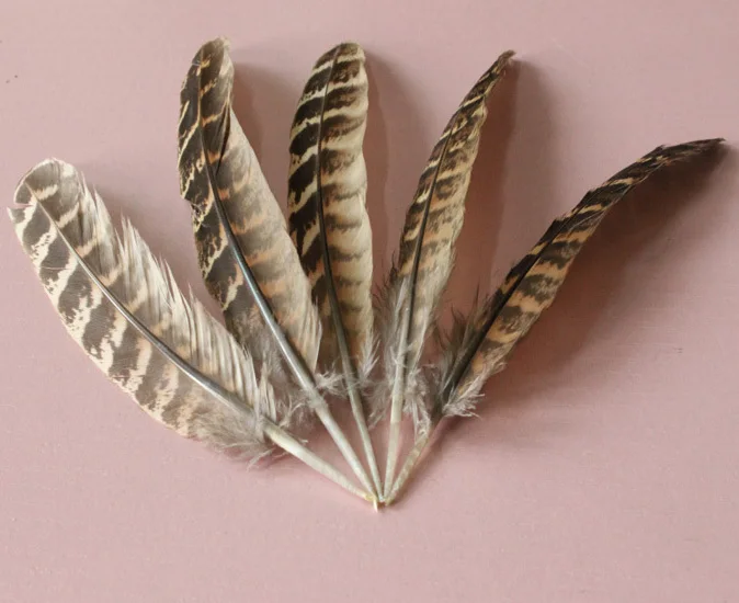 wholesale 100pcs high quality natural hen feathers 12 18cm / 5 7inch