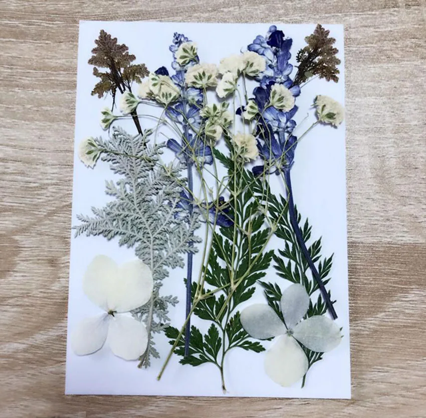 Фоторамка для ювелирных изделий 1 комплект|dried pressed flowers|leaf plantspressed flowers |