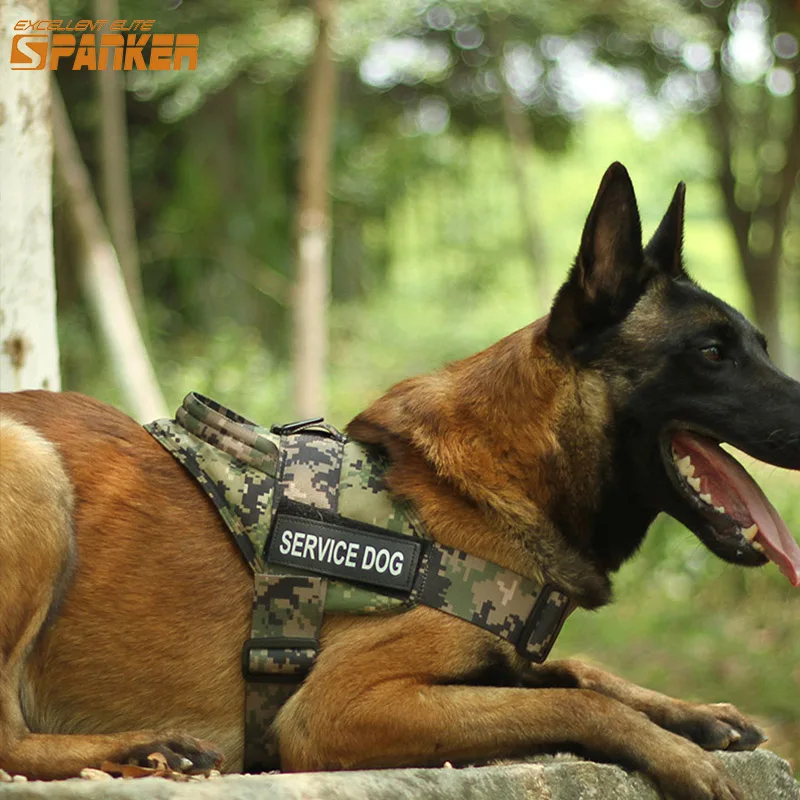 Buy EXCELLENT ELITE SPANKER Training Hunting Clothes