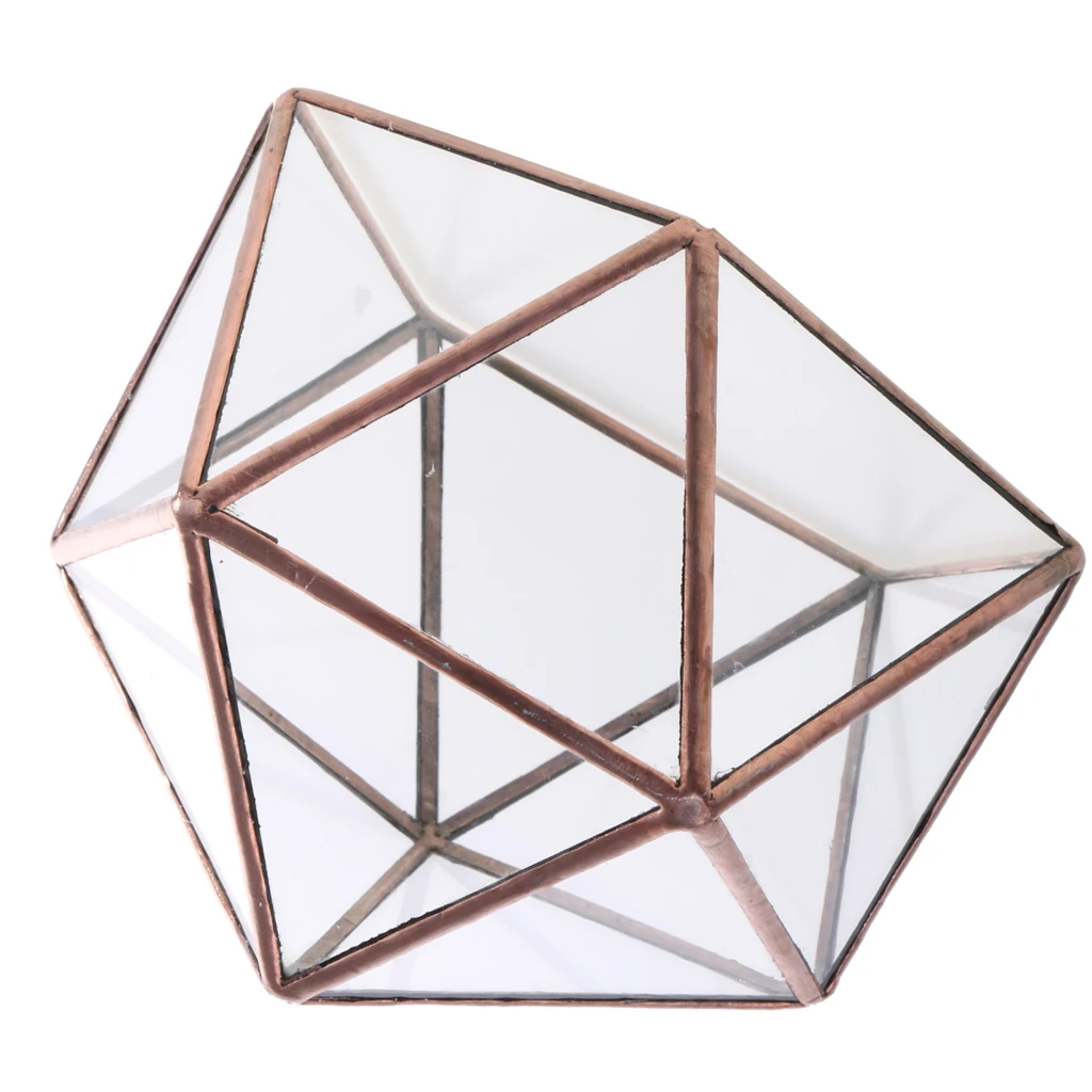 2 Pieces Different Kinds of Modern Glass Geometric Terrarium Box Tabletop Succulent Plant Planter