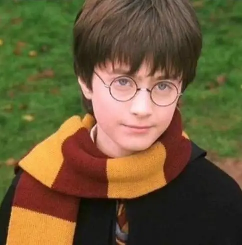 

Cosplay Costume Scarf Scarves Gryffindor Hufflepuff Slytherin Knit Scarves