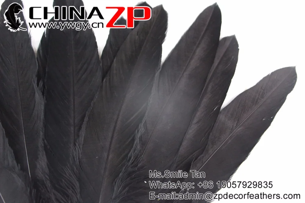 2 Black Original Eagle Feathers (3)