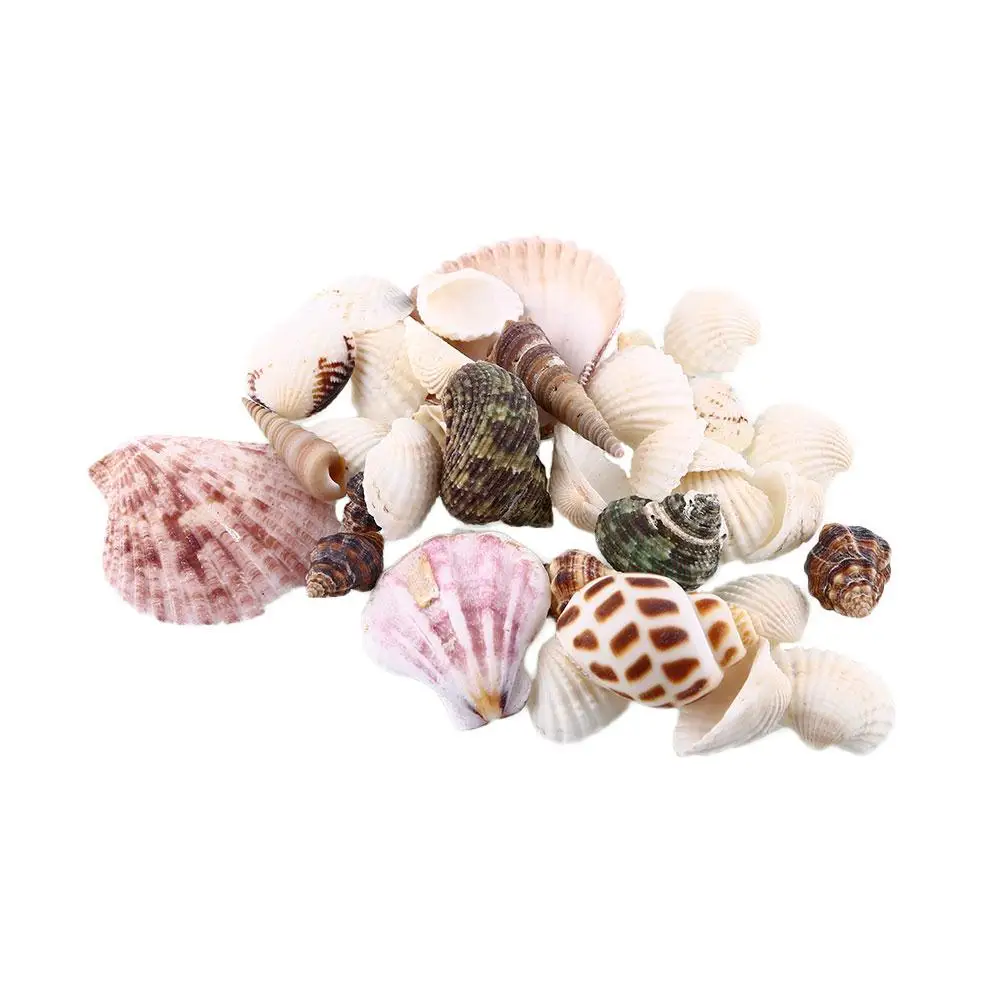 

New 100g Mixed SeaShells Sea Shells Craft SeaShells Aquarium Nautical Decor Aquarium Accessories Fish Tank Decor