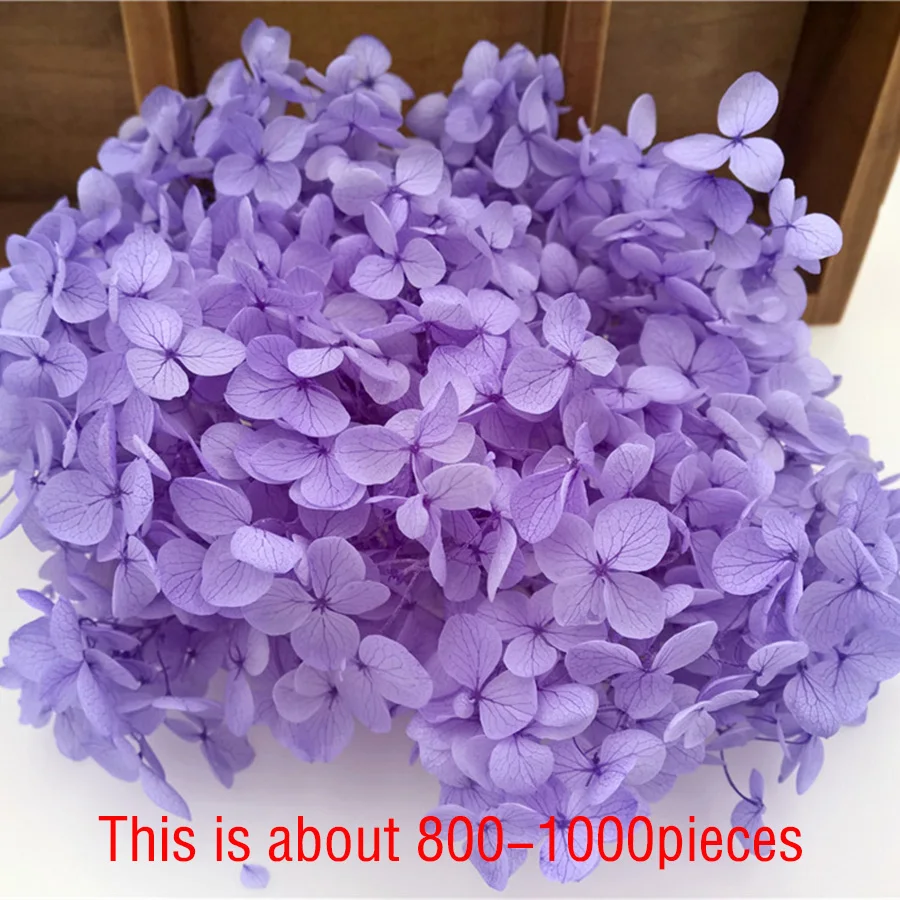 800 штук большая коробка 19x12 5x8 5 см натуральный маленький лист гортензии