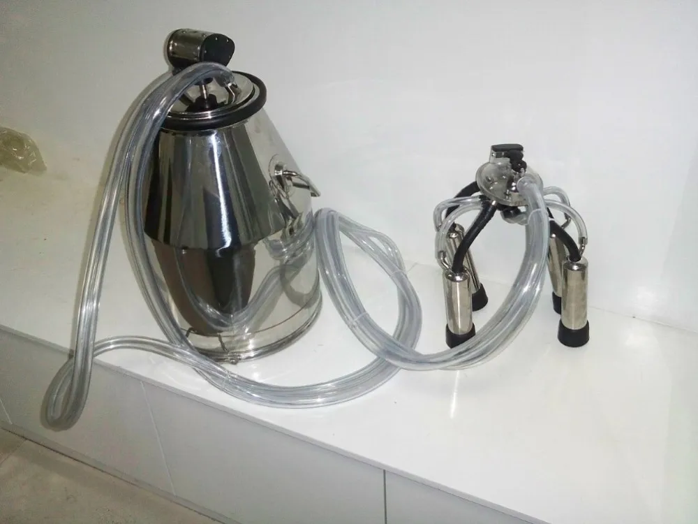 bucket milking