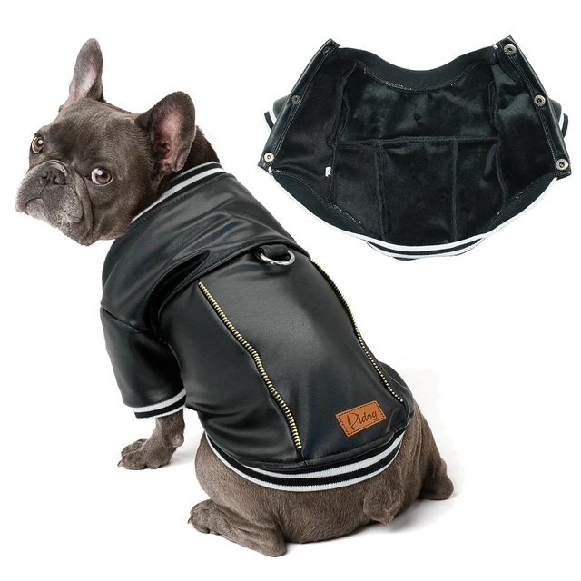 Luxury Dog Clothes Fashion Denim Dog Jacket Coat Spring Puppy Clothing  Jeans for Schnauzer French Bulldog Chihuahua ropa perro - AliExpress