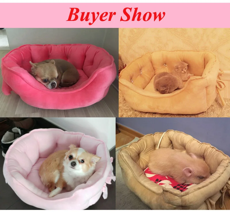 buyer shows