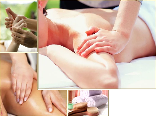 Semente de Uva Compostos para Equipamento de Salão de Beleza Jojoba Óleo Amêndoa Trigo Doce Germe Rosa Quadris Gengibre Azeitona Massagem Óleos 750ml 2 Beleza e saúde