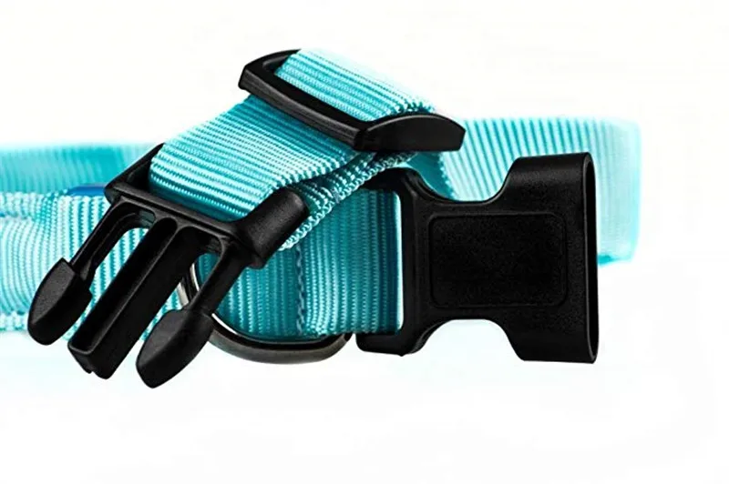 LED dog Collar9