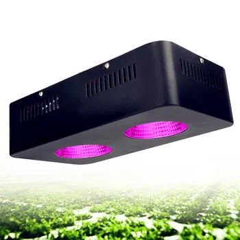 

Full Spectrum COB Led Grow Light 500W 1000W 1500W 2000W Growing Lamp Indoor Plants and Flower Greenhouse Grow Tent Light