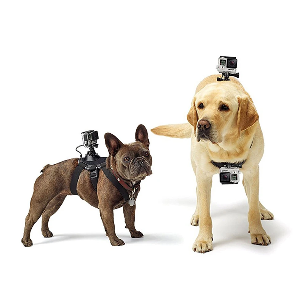 

Adjustable Dog Chest Band Elastic Blanket Outdoor Chest Strap Belt Mount for GoPro Hero 7 6 5 4 Sport Camera Accessories Parts