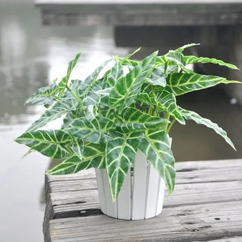 

10pc Artificial Plastic Taro leaf plant White zebra Taro Fake plant for home decoration